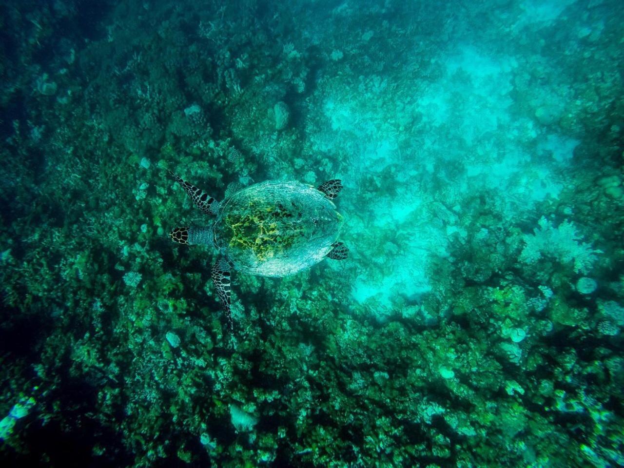 Gaafaru Old Town Inn Maldives מראה חיצוני תמונה