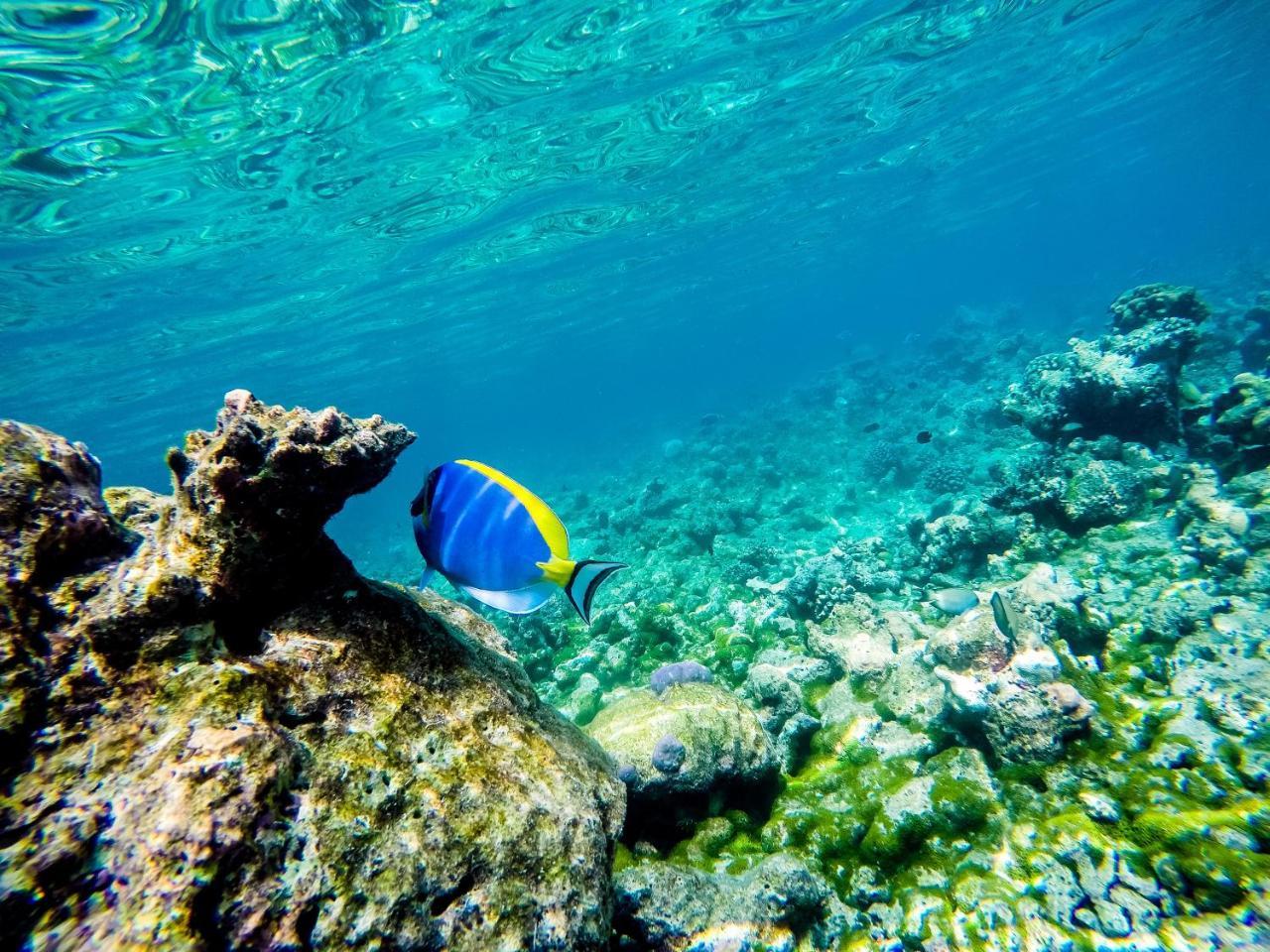 Gaafaru Old Town Inn Maldives מראה חיצוני תמונה