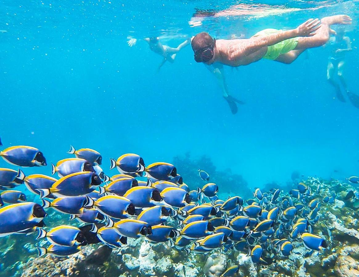 Gaafaru Old Town Inn Maldives מראה חיצוני תמונה